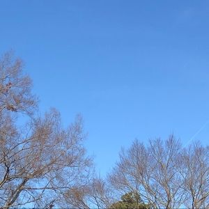 Meet your Posher, Johnnie